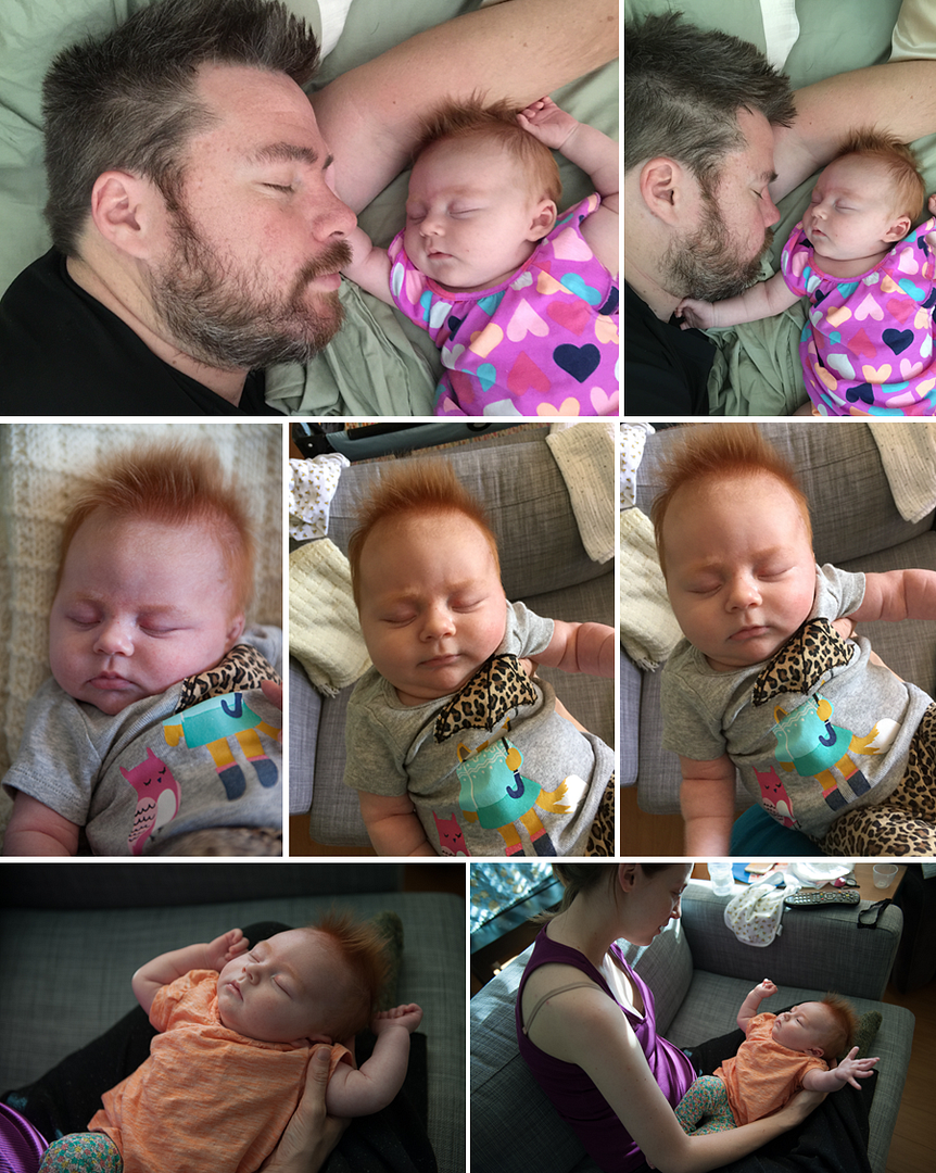  photo 7-Blog_zpskysbkaf5.png