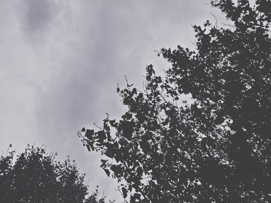  photo 8-Michigan-Holidays_zpsr5mfbigz.png