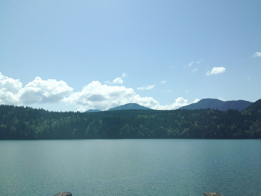  photo E-Blog-10_zps42221143.png