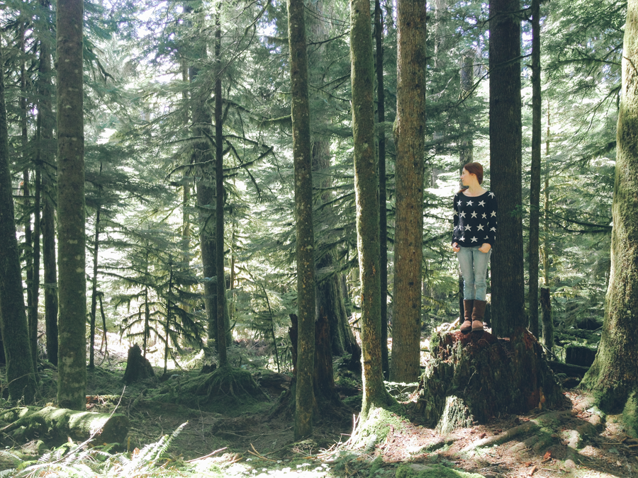  photo E-Blog-11_zps7c904c03.png