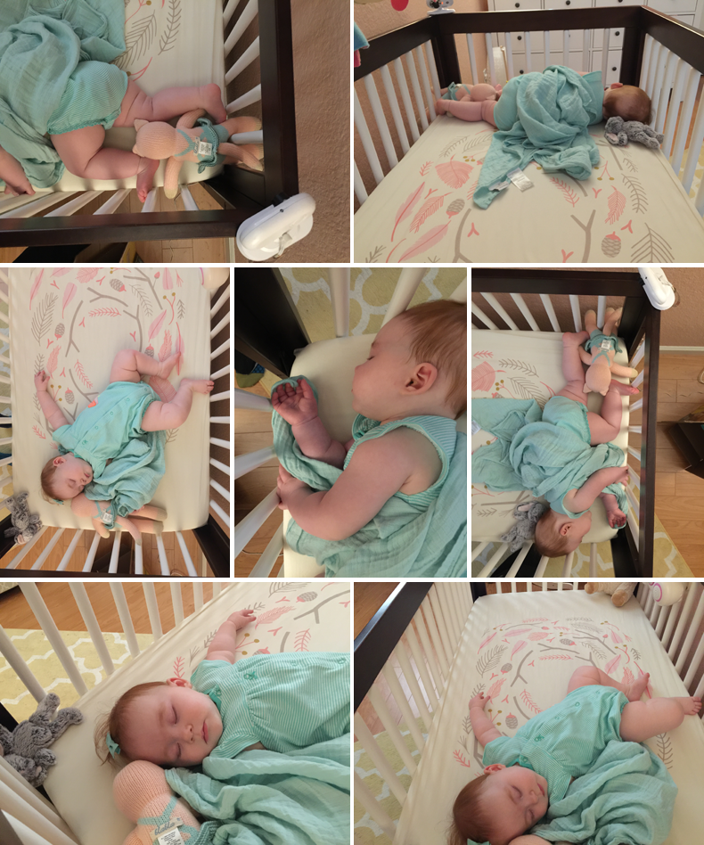  photo 11-Blog_zpsn6efpk3t.png