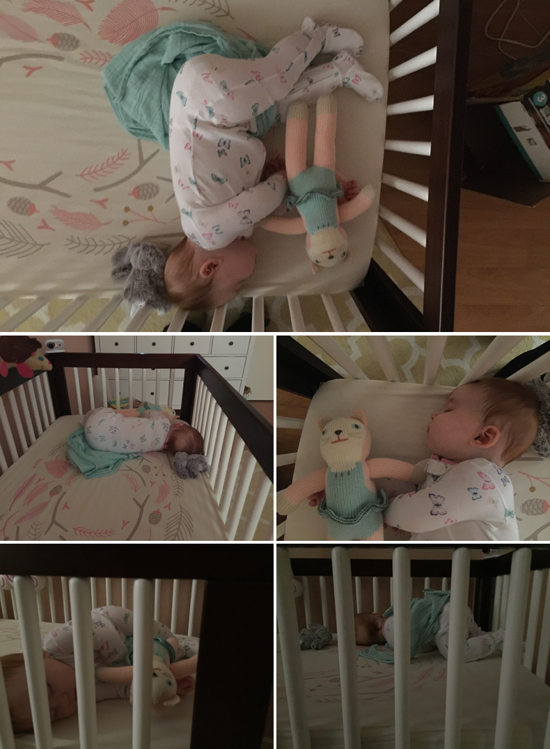  photo 12-Blog_zpsoqlam6rz.png