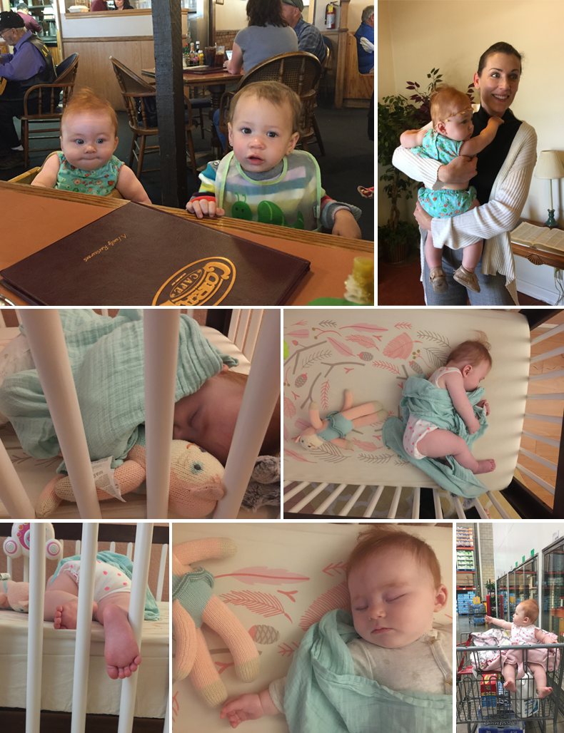  photo 18-Blog_zpsonlabgxm.png