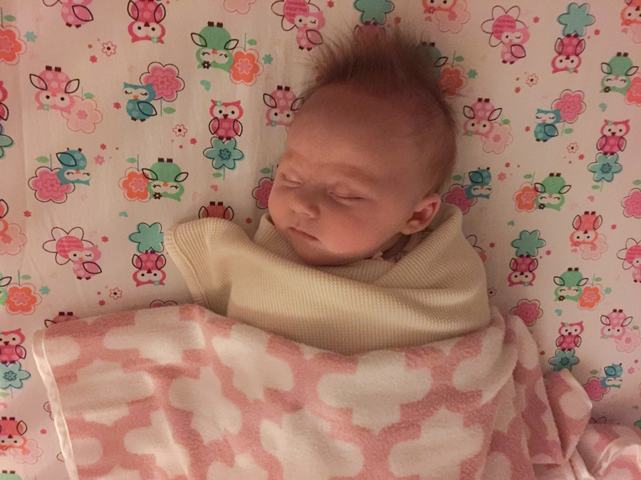 photo 19-Michigan-Day-two_zps498tz5ch.png