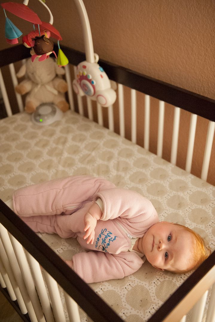  photo CCP_0556_zpslz7gf0dz.jpg