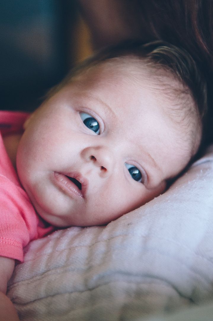 photo CCP_6741_zps0bsaauhb.jpg