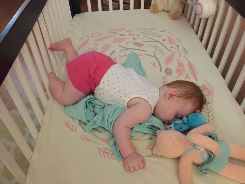 photo IMG_0487_zpschpkh4tc.jpg