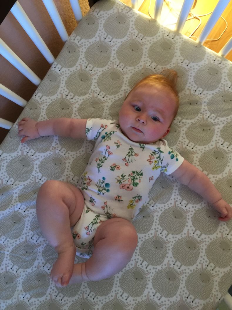  photo IMG_8643_zpss8lgtsph.jpg