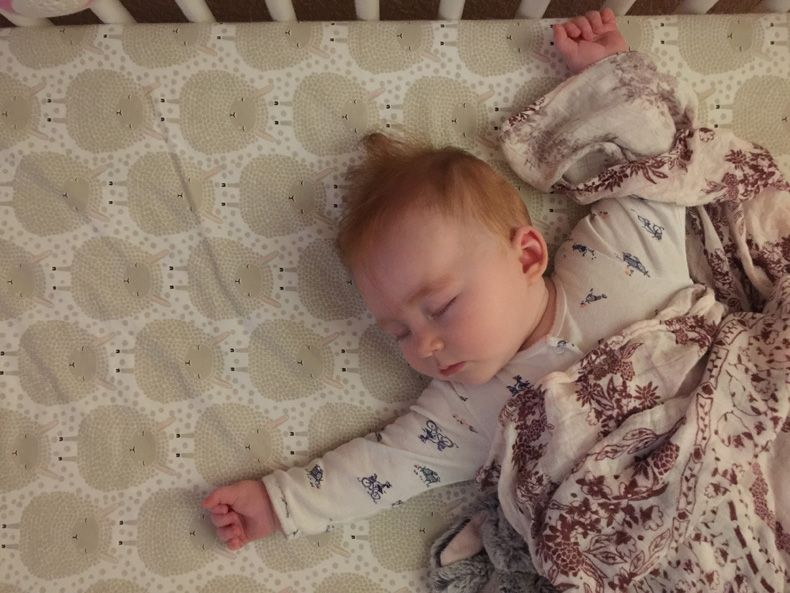  photo IMG_9311_zpstec0claa.jpg