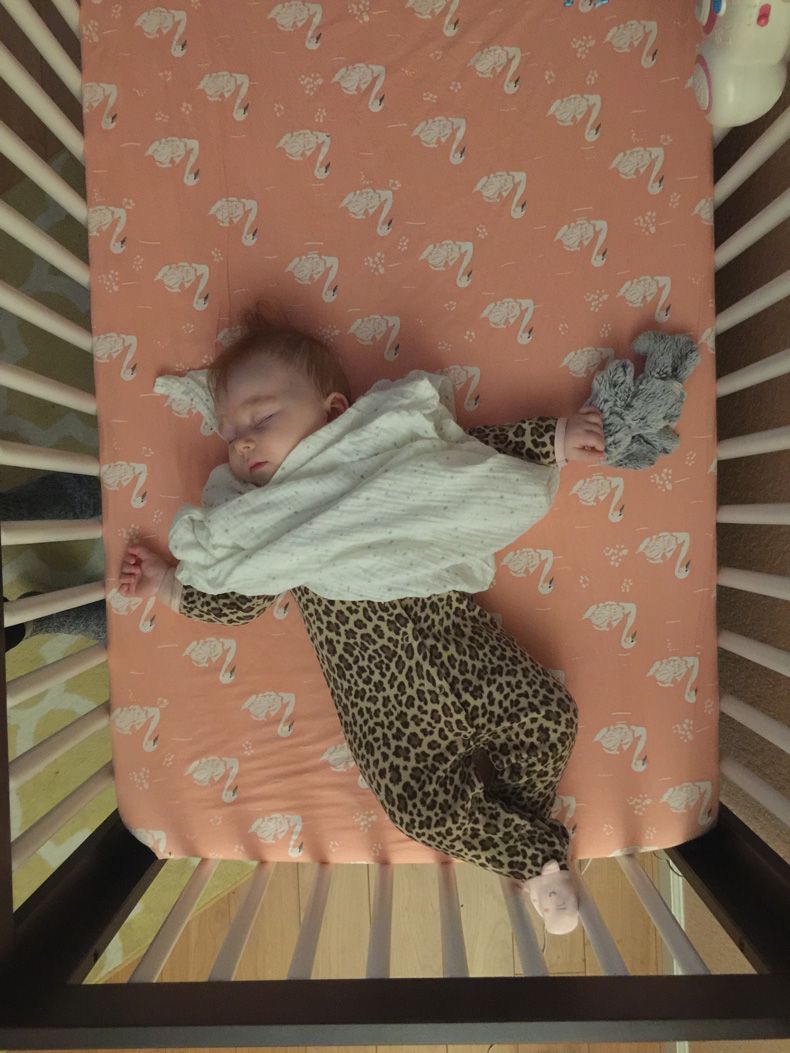  photo IMG_9584 1_zpstmbgangl.jpg