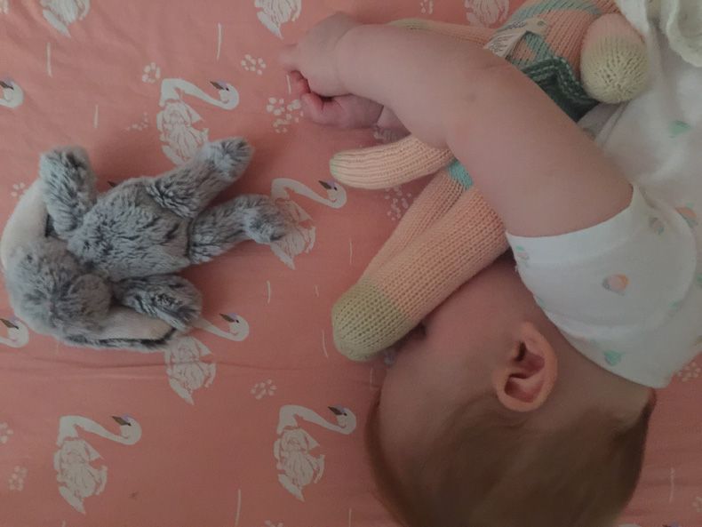 photo IMG_9860_zpszqiolxtt.jpg