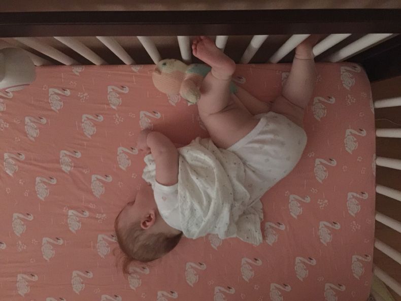 photo IMG_9862_zpsjxazonyh.jpg