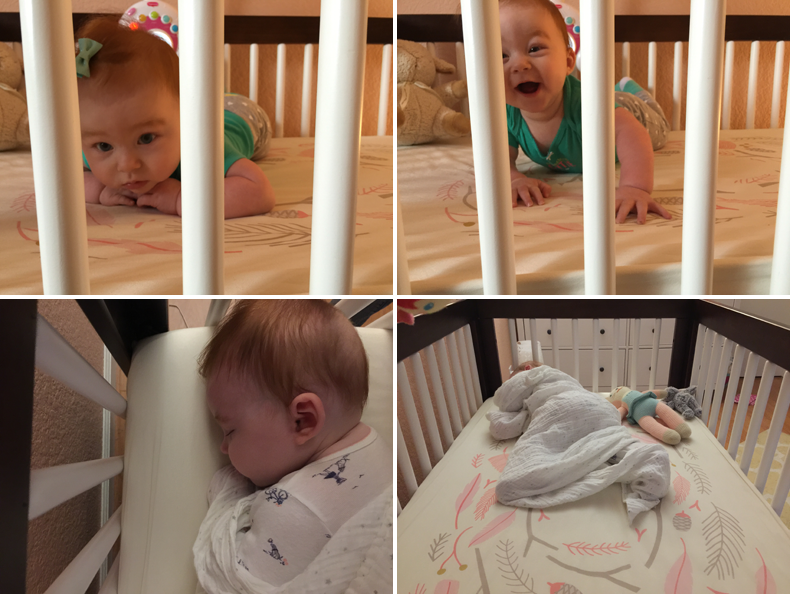  photo 40-Blog_zpszwi80ylf.png