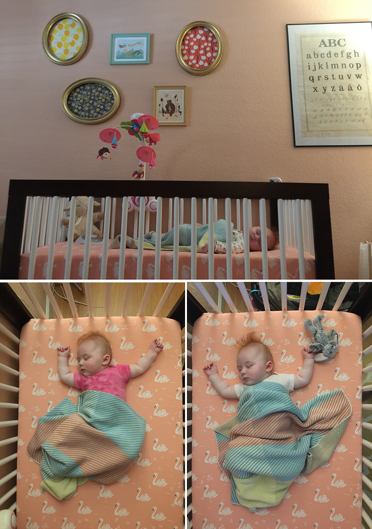  photo 7-Blog_zpswm00xed6.png