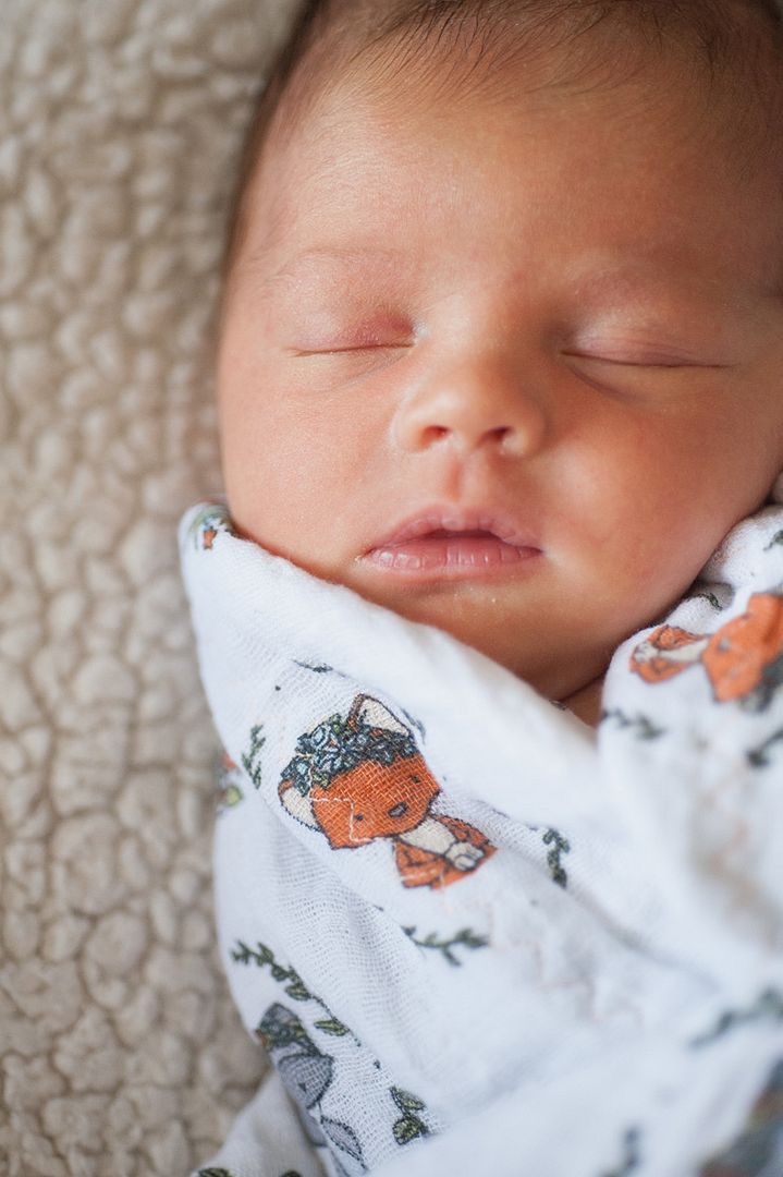 photo CCP_6055_zpsxxutoczt.jpg