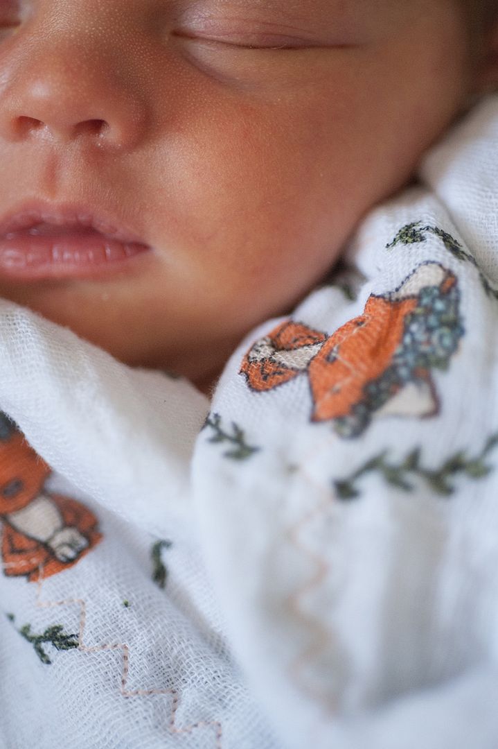 photo CCP_6070_zps7zrds5bh.jpg