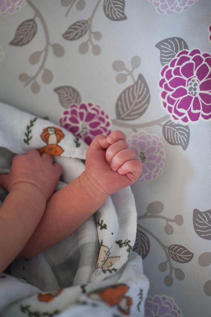 photo CCP_6106_zpsz0jmvjpc.jpg