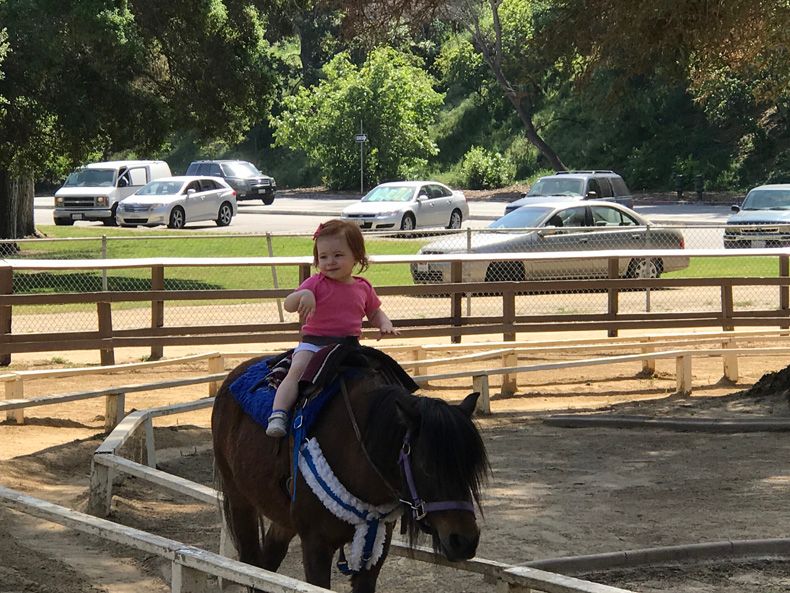  photo IMG_5260_zpsr5fphbys.jpg