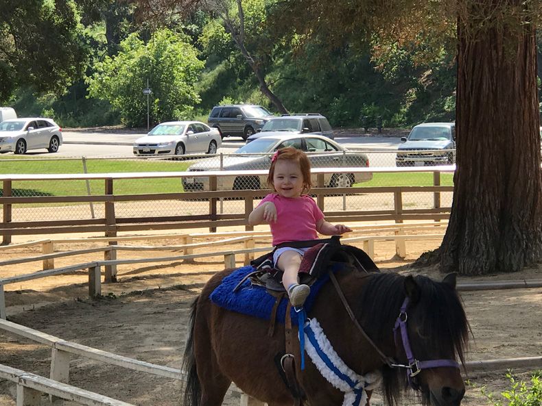  photo IMG_5261_zpseigiysn9.jpg