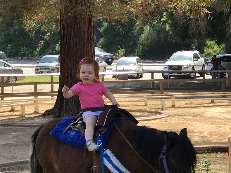  photo IMG_5262_zpse4bkhzlm.jpg