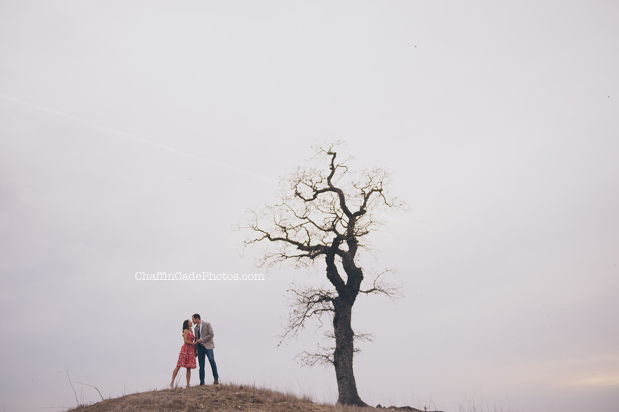 photo 1-Cheeseboro-Engagement-Session_zpsf50bcf96.png