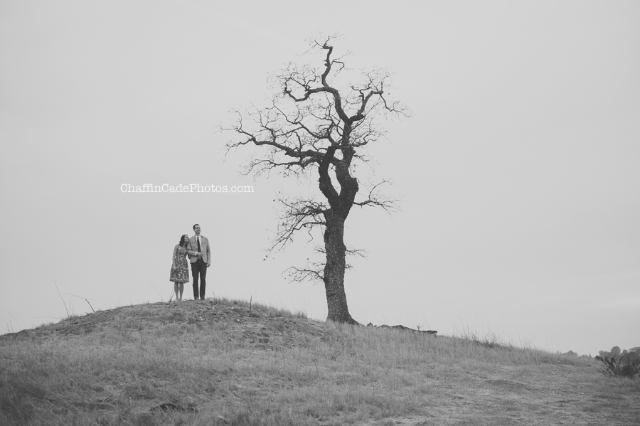 photo 17-Cheeseboro-Engagement-Session_zpsc1ca0c42.png