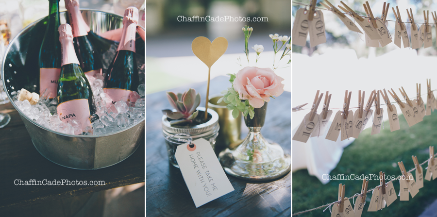 champagne on ice at Tom and Julie's Open Space Preserve wedding