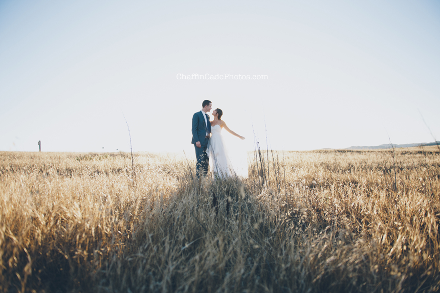 golden sun rays flood through the field as this bride and groom take a quiet moment together