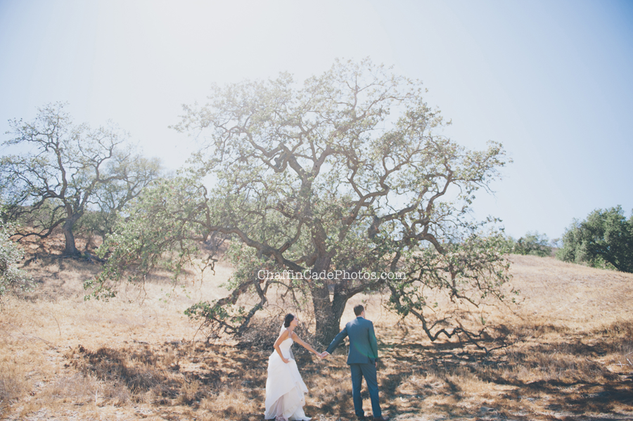 Julie and Tom stand under a large twisty tree on their wedding day, ready for their first looks in Malibu, California