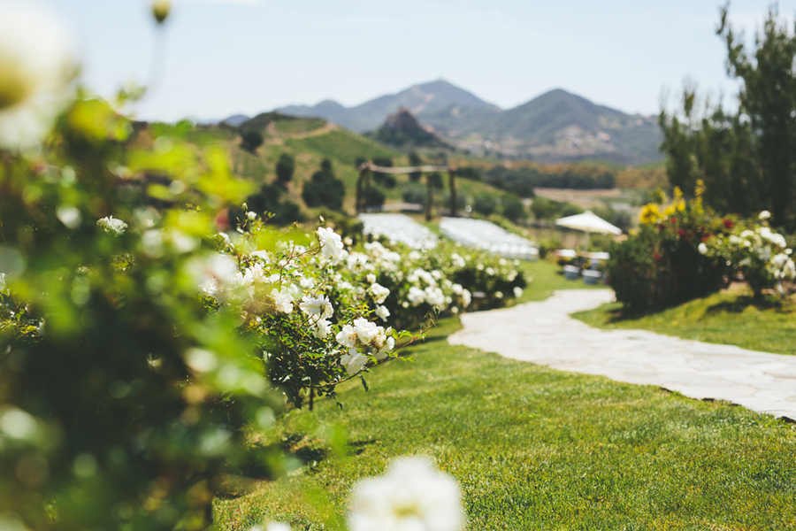 photo 4-Wedding_zps8ee1f3d6.png