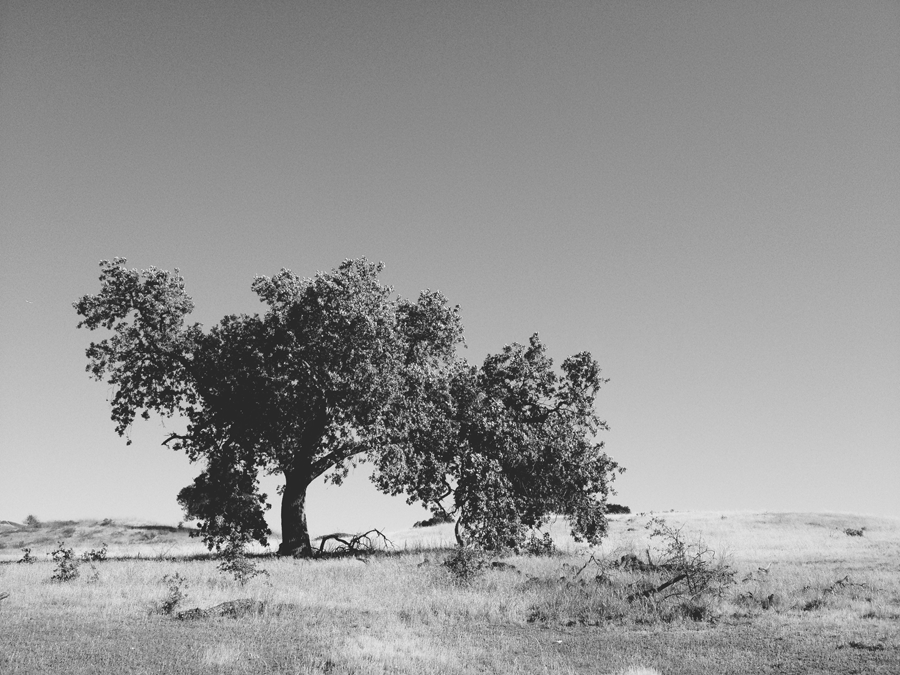 photo Blog-2-2_zpsd68501a3.png