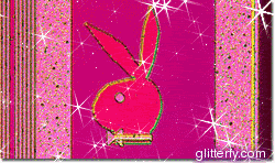 Playboy Bunny