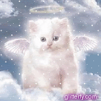 http://i192.photobucket.com/albums/z27/glitterfy_com-1/graphics/33/angel_kitty.gif
