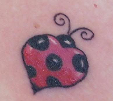 Ladybug Tattoo · christydl posted a photo