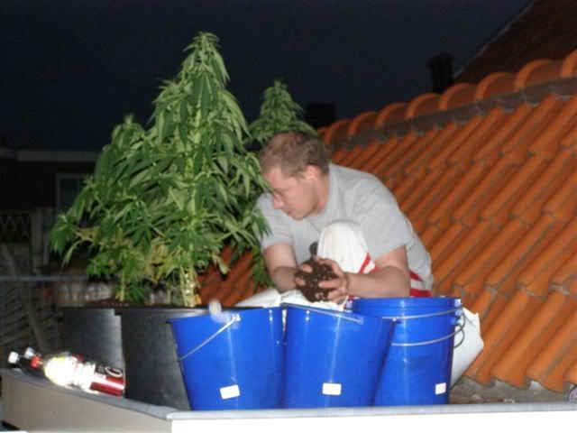 020607Gijsrepottingtheplants.jpg