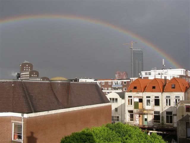 250607totalrainbow.jpg