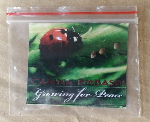 090809CannaEmbassyGoodybag.jpg