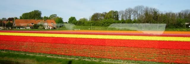 210409tulipfields.jpg