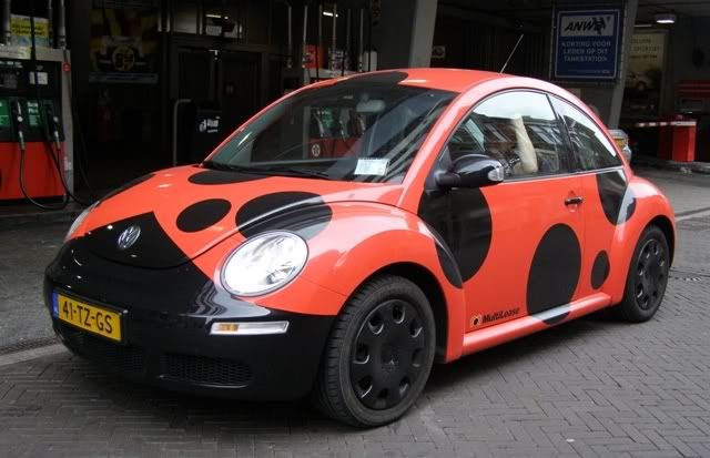 Ladybug car red and black