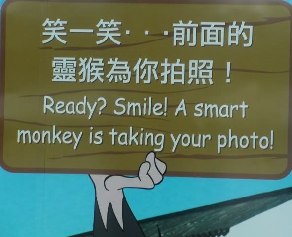 030908smartmonkeytakingpictures.jpg