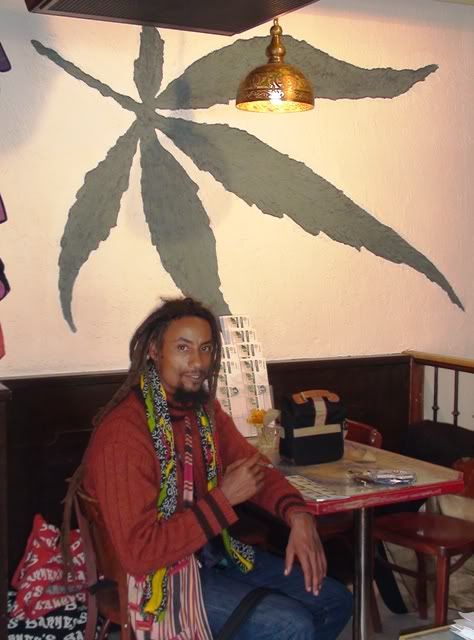 100409AmsterdamPapajanweedleafbackg.jpg