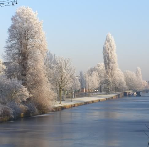 221207icedwaterandwhitetrees.jpg