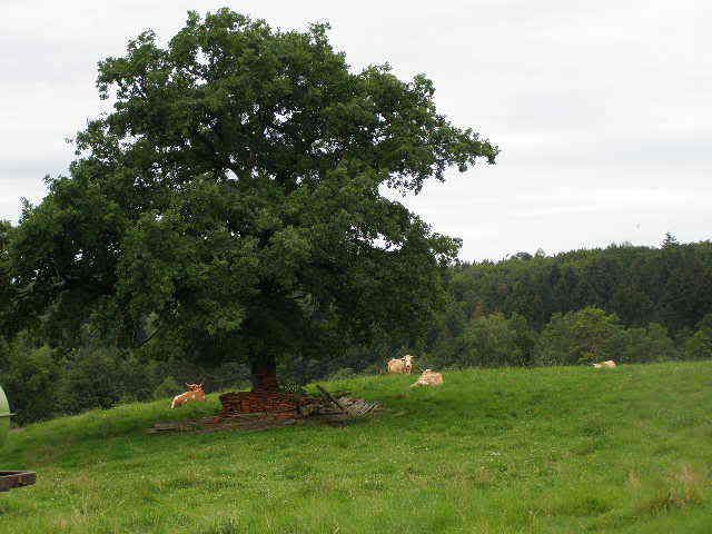 abschiedBayern10.jpg