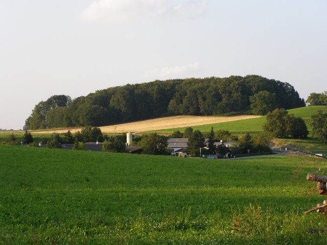 wesslingandsurrounding7.jpg