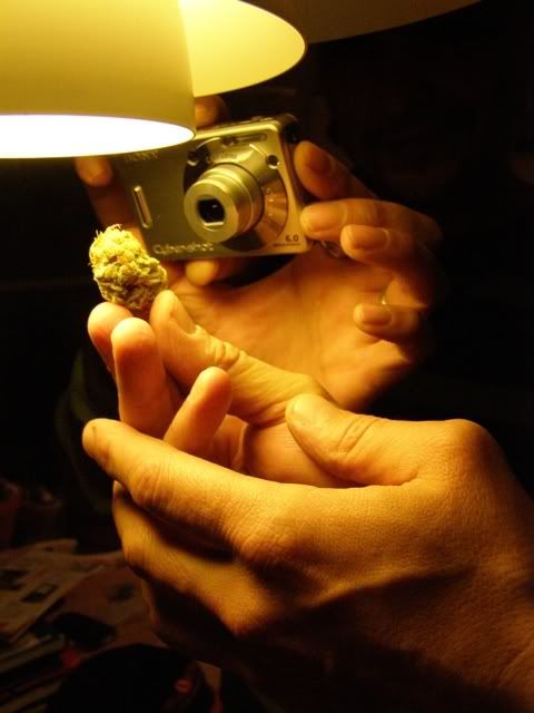 011207handscameraandbud.jpg