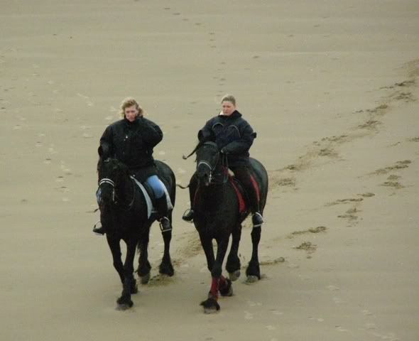 100308horsesonthebeach.jpg