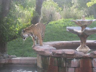 WDW2008150.jpg