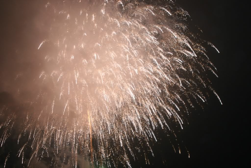 IMG_1223.jpg