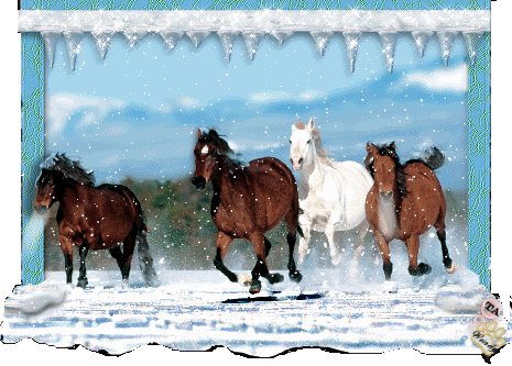 119 Snow Horses