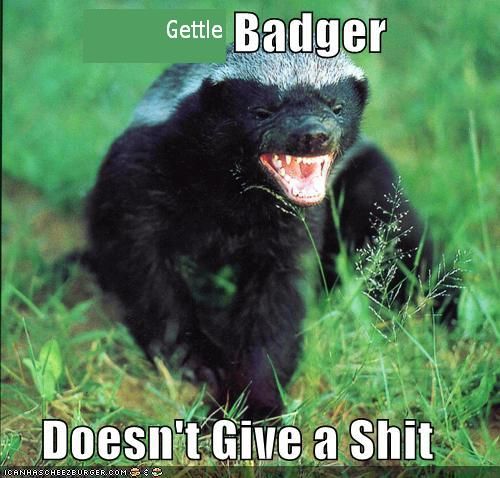 honey-badger1_zpsb70681d4.jpg